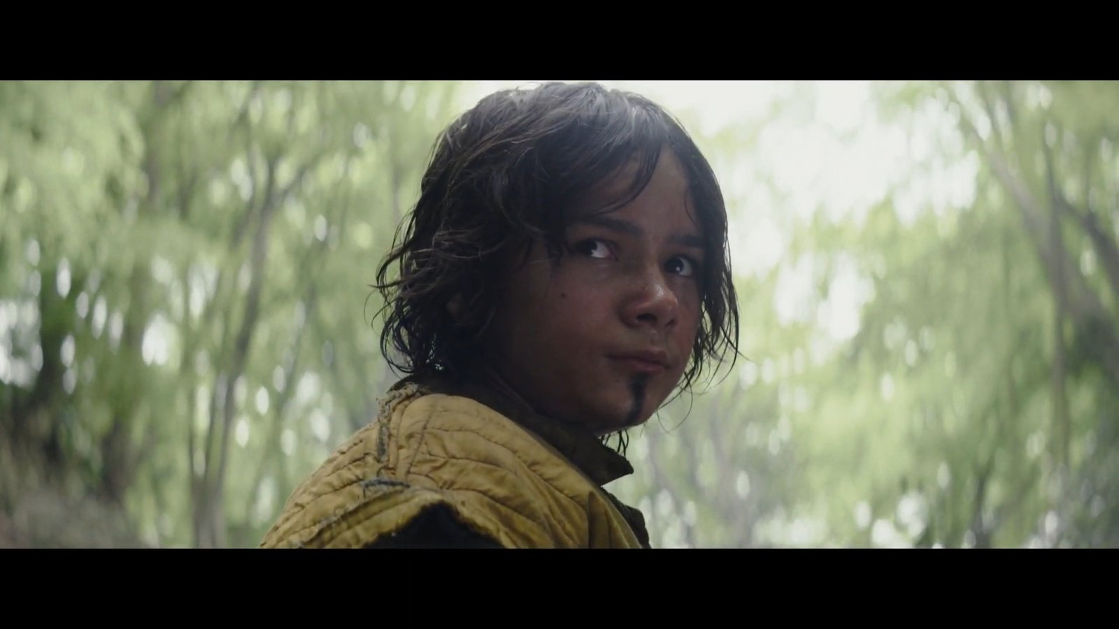 Showreel